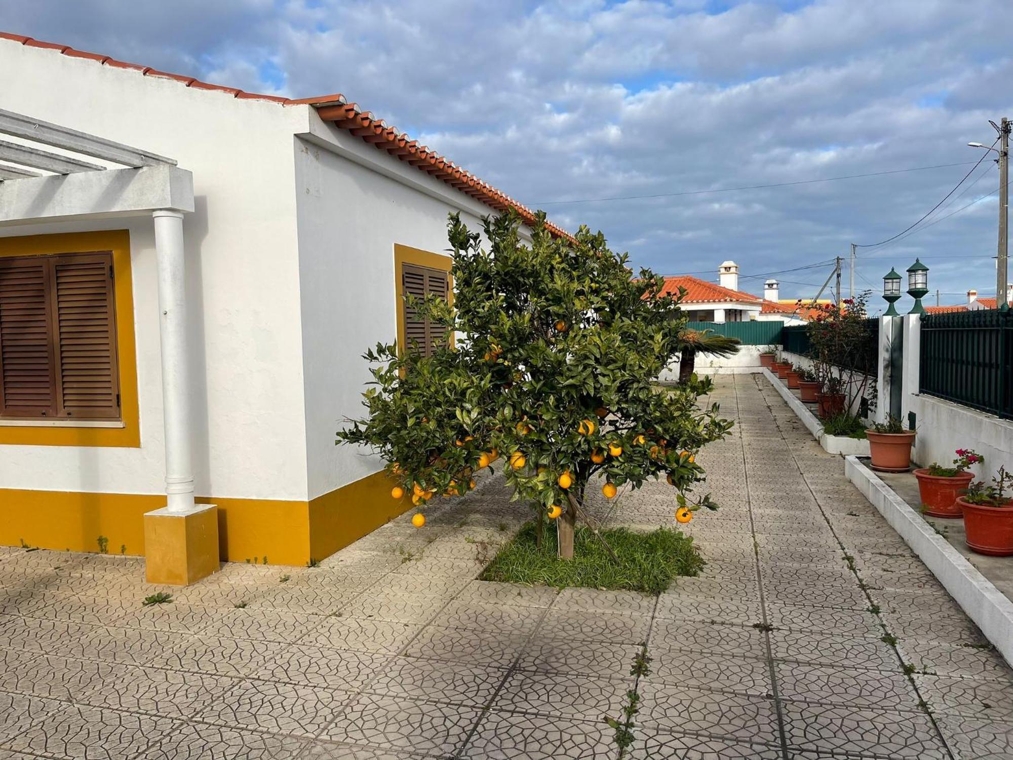 Luz E Sal By Stay In Alentejo Cavaleiro Buitenkant foto